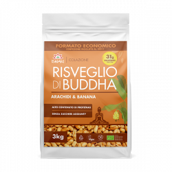 Formatos Económicos